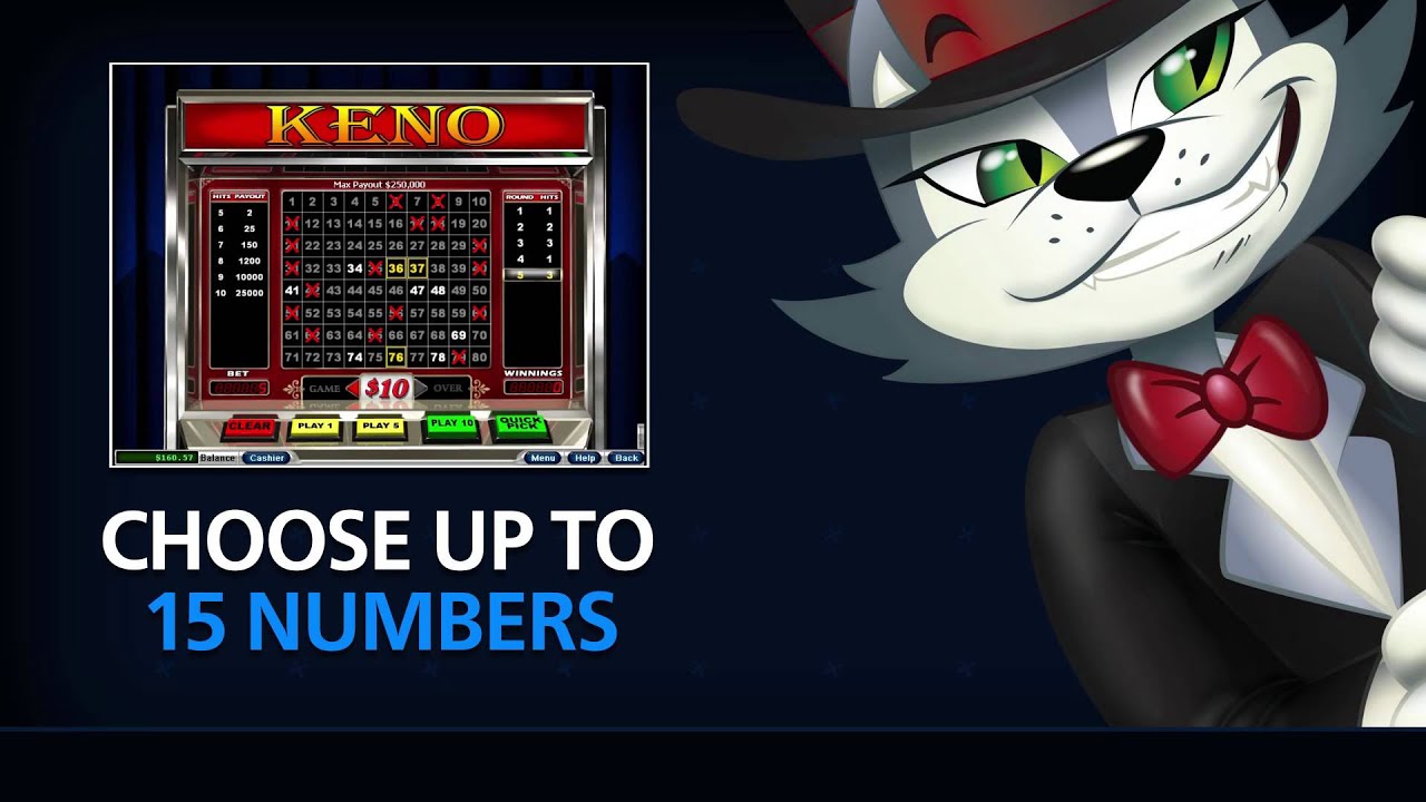 Win big with these casino games - CoolCat Casino Blog