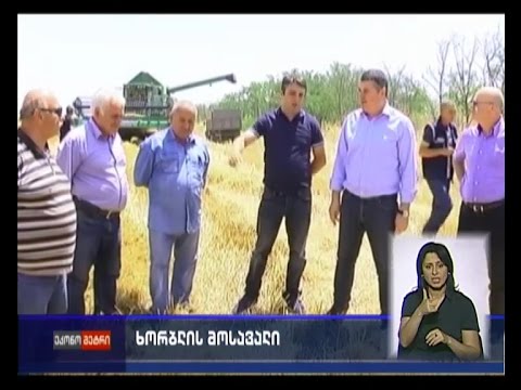 ხორბლის მოსავალი საქართველოში