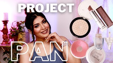 Project Pan Update #2 | Going Strong With Progress | Shreya Jain