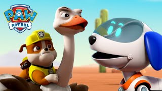 Robo Dog Saves Rubble From A Run-Away Ostrich! - Paw Patrol Episode - Cartoons For Kids Compilation