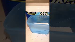 Las Totally Awesome Oxygen Orange Vs Oxi Clean