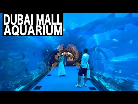 Dubai Mall Aquarium
