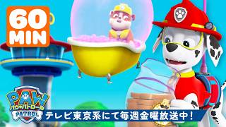 パウ・パトロール | パウ・パトロールとへんてこな夢1時間！✨🌌🐾 | テレビ東京系にて放送中