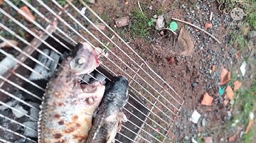 Cá rô phi nướng chấm muối ớt chanh ngon hết sẩy