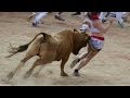 Best funny videos 2017   Most awesome bullfighting festival   funny crazy bull fails P3