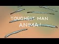 ANIMA! - Toughest Man [OFFICIAL VIDEO]