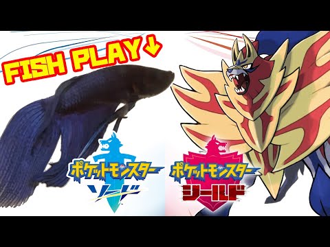 【冠の雪原編 │3299h~】ペットの魚がポケモンクリア_Fish Play Pokemon【作業用BGM】