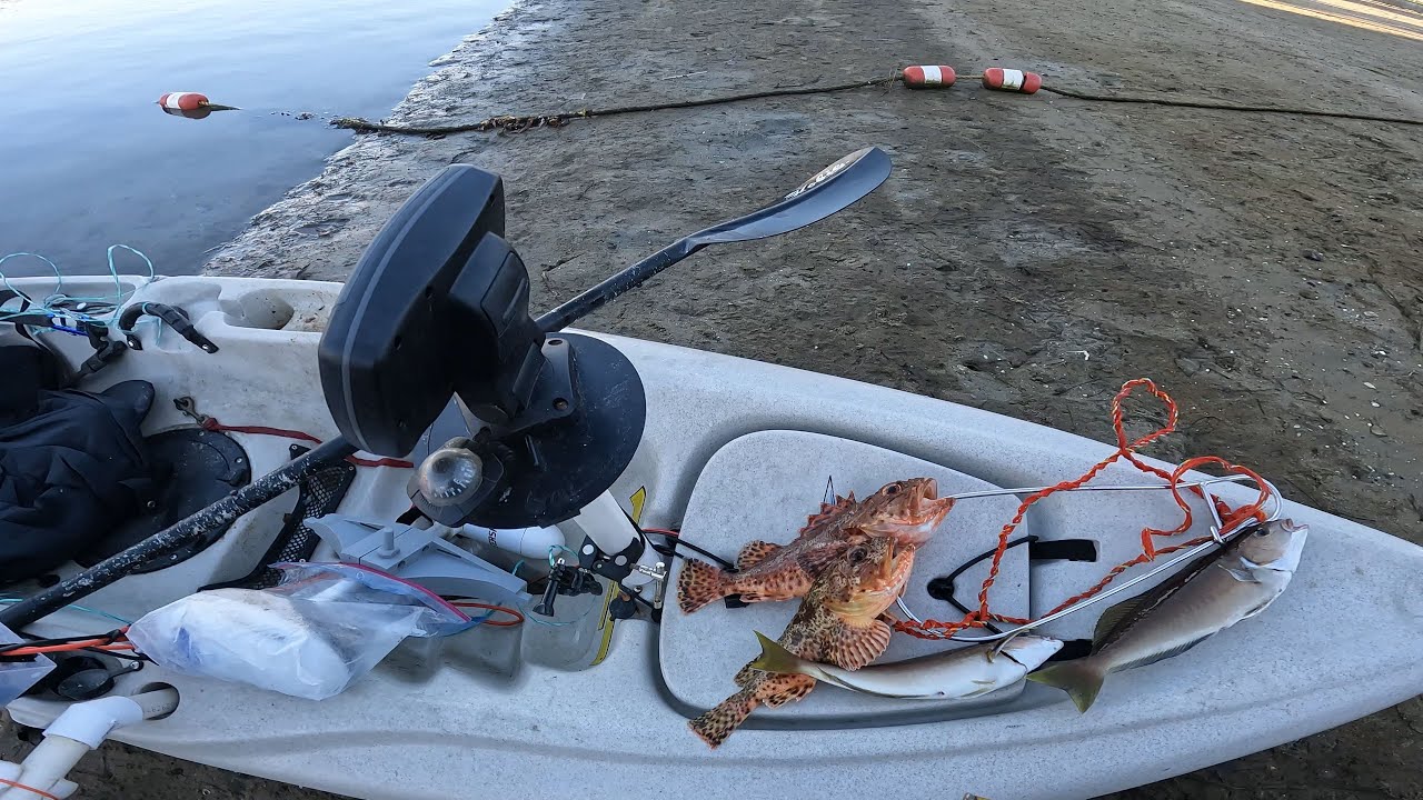 I went kayak fishing Izor's reef in Huntington Beach, CA for the first