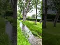 En Ollauri