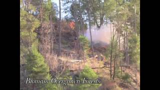 60 Second Forester- Biomass: Overgrown Forests