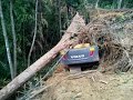 Excavator accident by falling trees