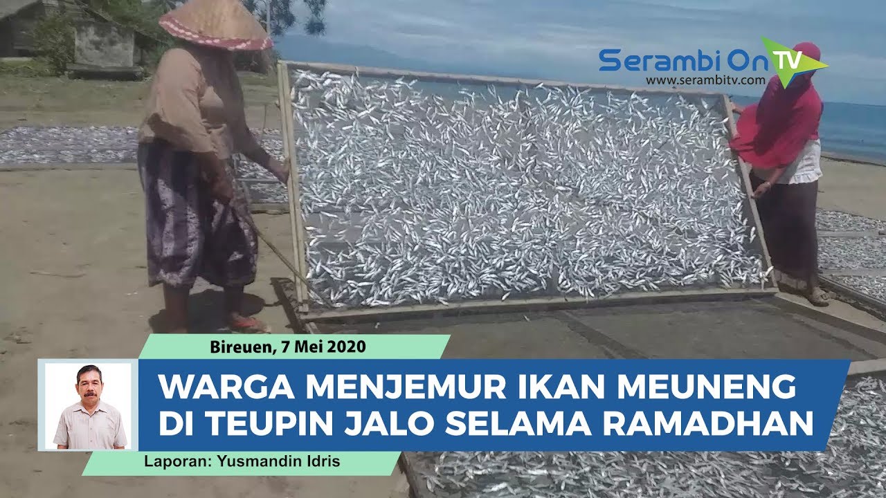 VIDEO Aktivitas Warga Menjemur Ikan Meuneng Dan Teri Di Teupin Jalo Bireuen Selama Ramadhan Serambi Indonesia