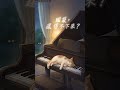 今晚不用逼自己整理好一切 🌙 先睡一覺,世界明天再說 #收假焦慮 #失眠 #助眠音樂 #放鬆 #療癒 #睡眠頻道