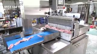 Máy Cưa Xương Tự Động Automatic Bone Saw - Hy-420A