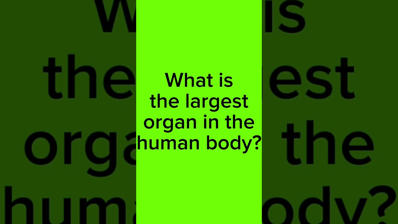 Daily Trivia Question   9-5-23