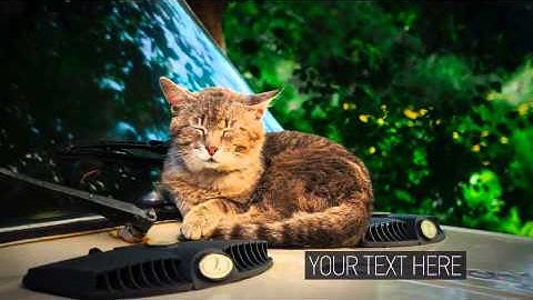 After Effects Project Files - Elegant Slideshow - VideoHive 8640789