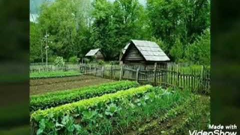 سورة الطور oleh الشيخ عبدالولي الأركاني