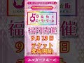 日本一の占いマルシェ・ヒラケル #占い師