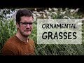 Ornamental Grasses #grasses #structuralplanting #gardening