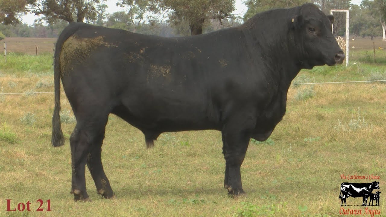 Lot 21 Outwest EMP Potomac P101