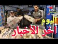 @أخر أخبار سوق السمك تنوع في الأصناف وتحسن في الأسعار . وقار ١١١ عالي الجودة.مع الشيف حسام حسن.