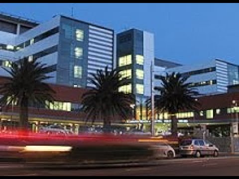 Wellington Hospital Webinar 2022