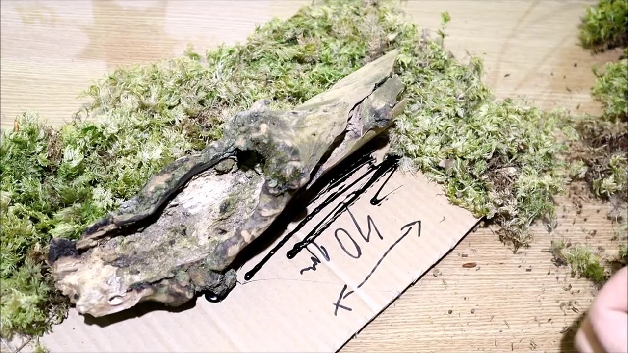 Amazing Picture DIY IDEA USING Moss YouTube