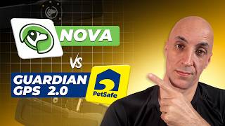 SpotOn Nova vs PetSafe Guardian GPS 2.0 | Which GPS Dog Fence Is Actually Worth it?