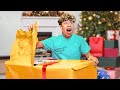 Opening my DREAM Christmas Present! image