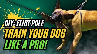 How to make and use a Flirt pole in dog training.
