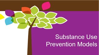 Principles of Substance Use Prevention and Health Equity in Action Part 1- Prevention Models