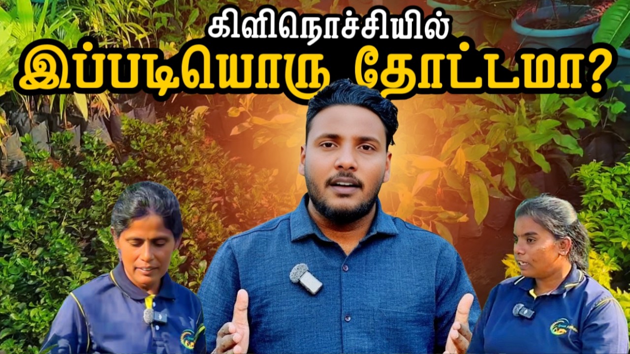 கிளிநொச்சியில் இப்படியொரு தோட்டமா? 😱 | Kilinochchi Agriculture | Green Garden Ep-4 | Pavaneesan