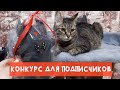 🎉🎁КОНКУРС ДЛЯ ПОДПИСЧИКОВ | РОЗЫГРЫШ ТОГО САМОГО КОТЭ😺