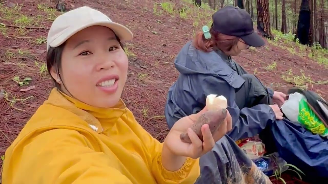 Tự túc leo Lang Piang 