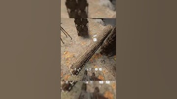 The sneaky way to getting INFINITE LOGS in Sons of The Forest