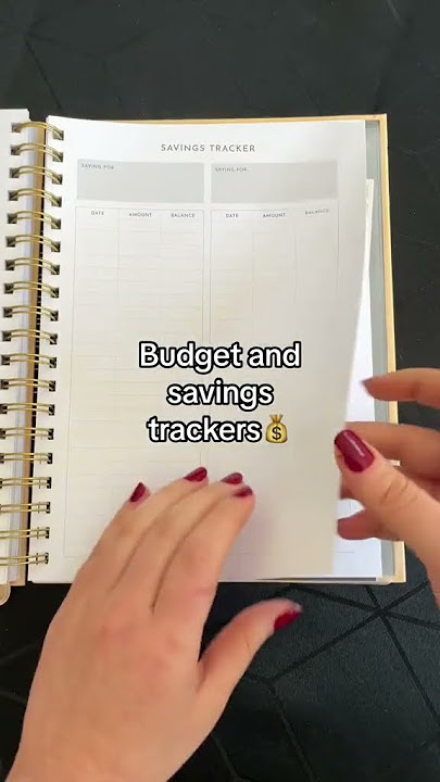 pov: YOU FOUND THE BEST PLANNER FOR 2024 #shorts