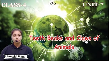 Teeth beaks and claws of animals | EVS | Chapter - 7 | Class - 4 | By Urvashi Mam Study Max Books