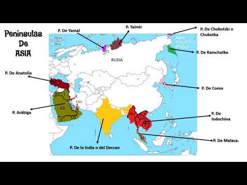 Vídeo: Quina és la importància d'un aparell de mesura en la vida d'una persona