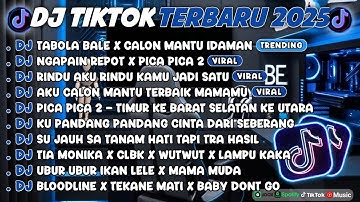DJ TIKTOK TERBARU 2025🎵DJ TABOLA BALE X CALON MANTU IDAMAN🎵DJ NGAPAIN REPOT X PICA PICA 2 FULL ALBUM