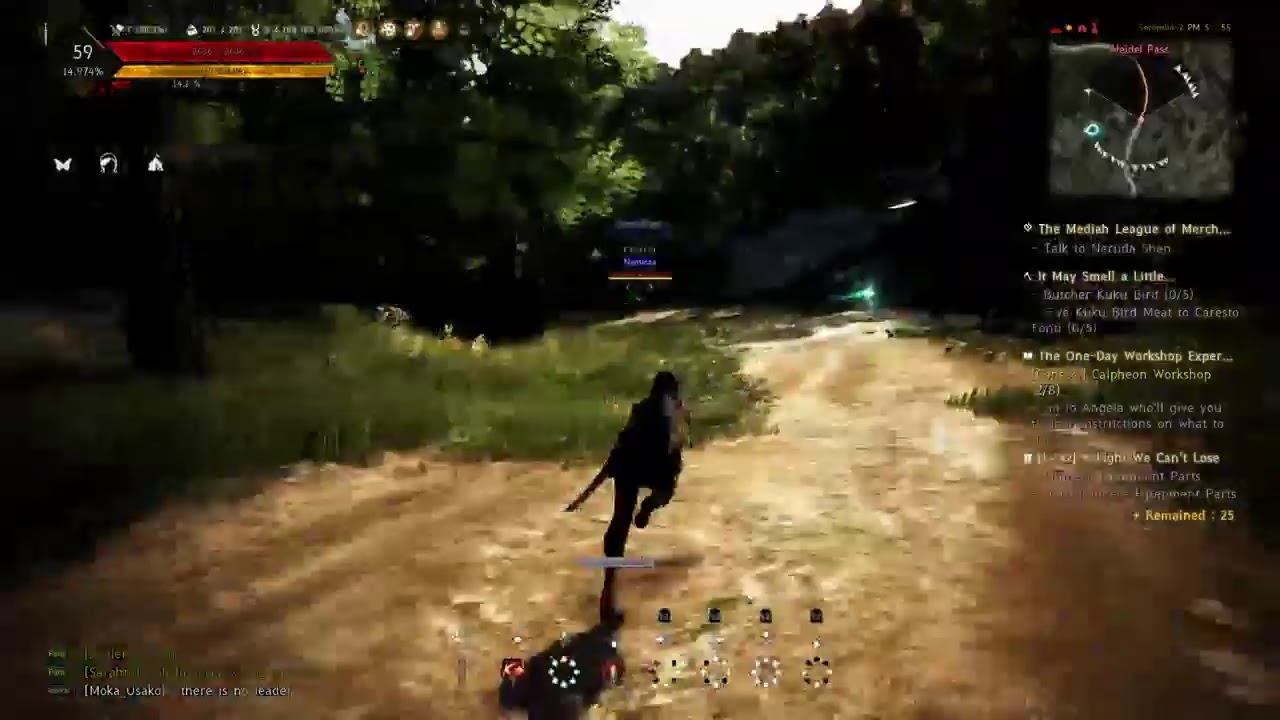 Black Desert Online Red nose Field boss YouTube