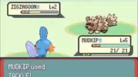 Pokemon Emerald 2:30 Speed Run Segment 2