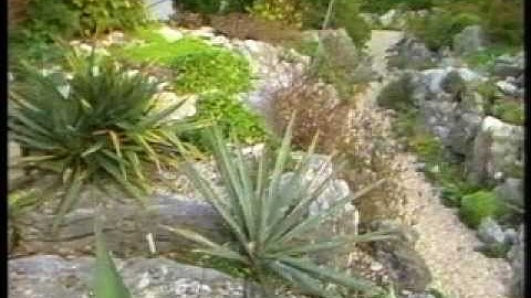 Hortus Botanicus Vrije Universiteit promotiefilm 1987