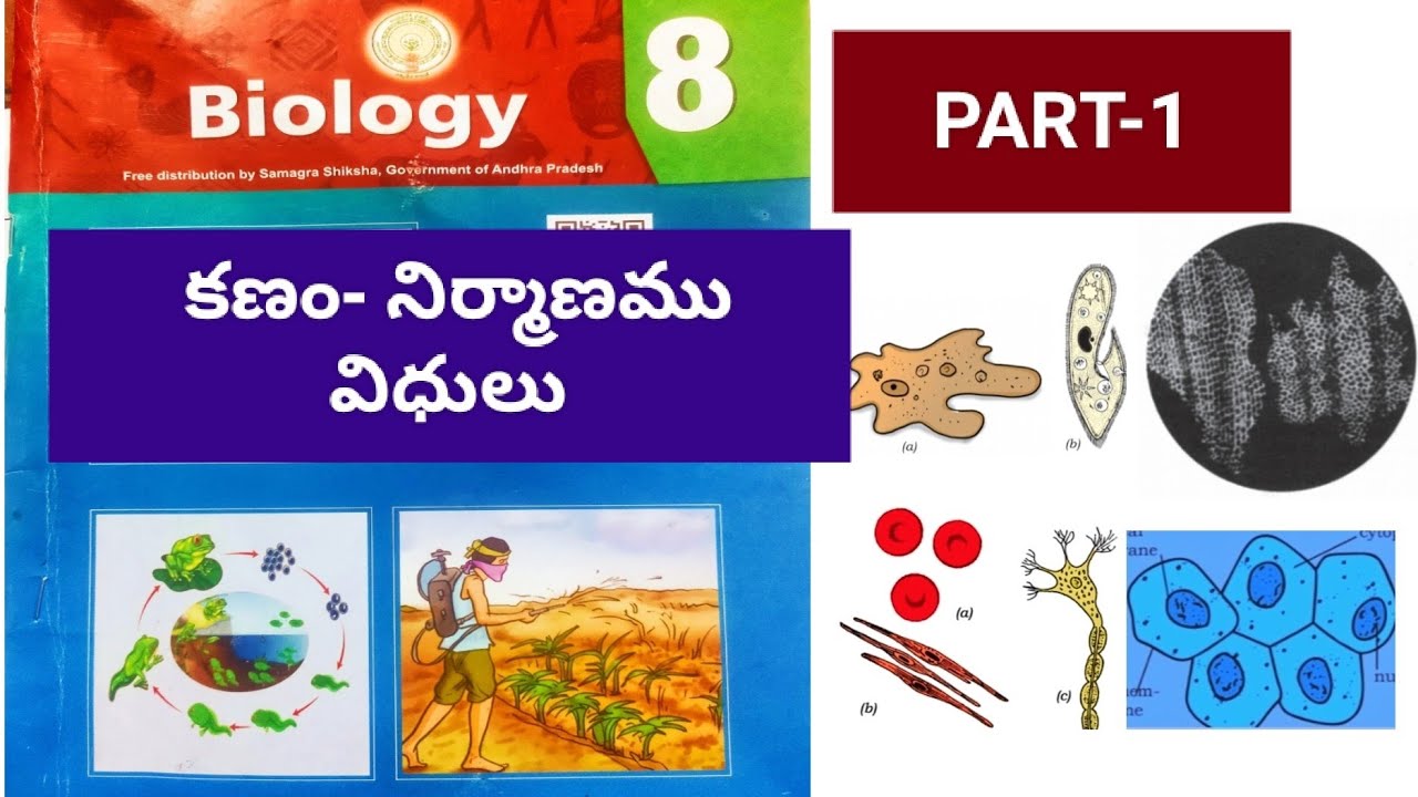8th-class-ap-new-biology-textbook-chapter-1-cell-structure-and