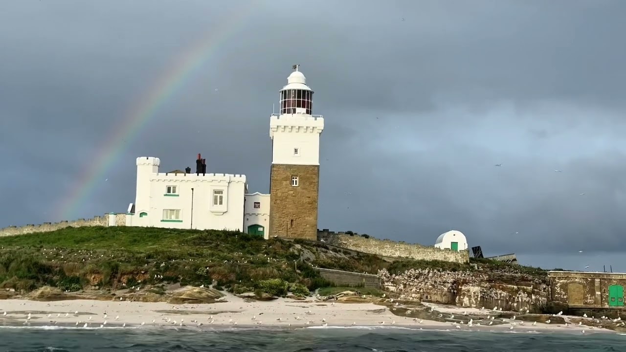 Puffin Cruises, boat trips to Coquet Island