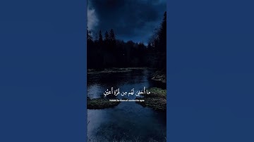 {فَلَا تَعْلَمُ نَفْسٌ مَّا أُخْفِيَ لَهُم مِّن قُرَّةِ أَعْيُنٍ } [السجدة : 17]القارئ إسلام صبحي
