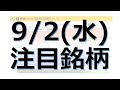 【9月2日(水)の注目銘柄】本日の株式相場振り返りと明日の注目銘柄を解説