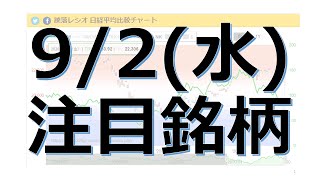 【9月2日(水)の注目銘柄】本日の株式相場振り返りと明日の注目銘柄を解説