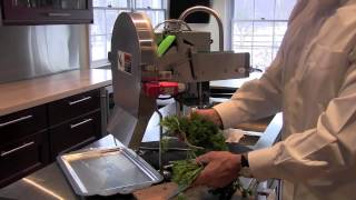 DX-50B Desktop green onion machine