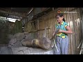 Philippine Travel Guide: Luisiana, Laguna