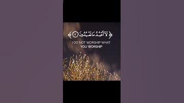 سورة الكافرون 🌸🌿/Surat Al-Kafirun                     القارئ عبيدة موفق 🌼🌷